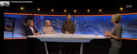 Anna Finnes på SVT