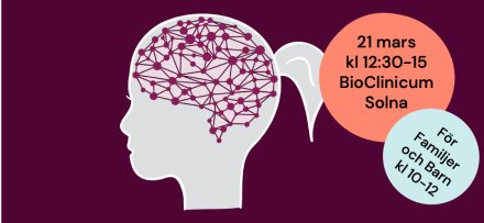 En resa genom hjärnan 2026