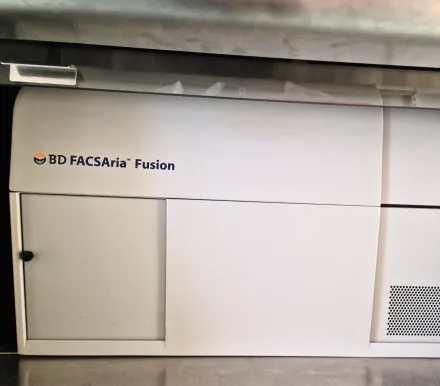 Sorter BD FACS Aria Fusion in MedH Flow Cytometry Core Facility.