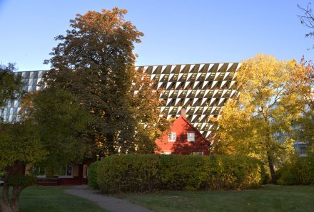 Trees with colorful leaves in the foreground of the Aula Medica building.