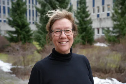 Kerstin Blom