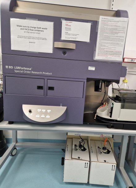 Analyzer LSRFortessa in MedH Flow Cytometry Core Facility.
