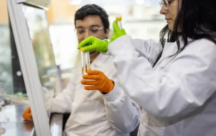 Detail image from lab