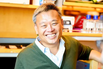 Professor Lim