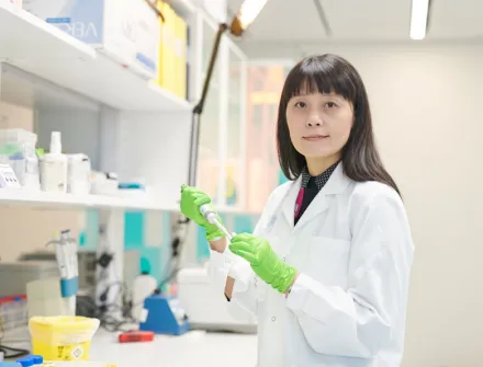 Qiang Pan Hammarström