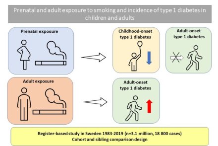 Graphical abstract