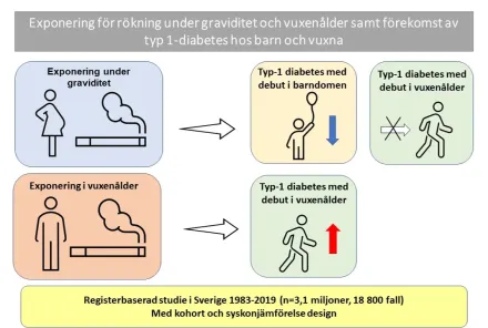 Graphical abstract