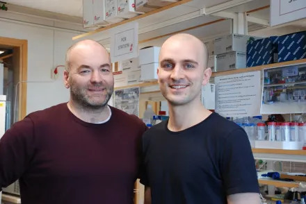 Bob Harris och Harald Lund vid institutionen för klinisk neurovetenskap.
