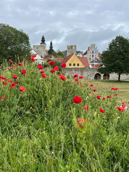 Almedalen i Visby