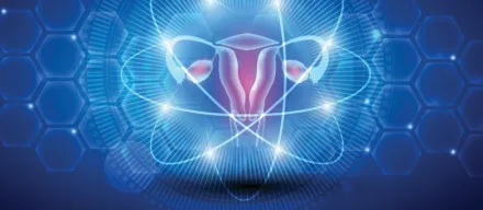 Illustration of female reproductive organ.