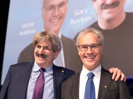 Bild från Nobelföreläsningarna 2024.