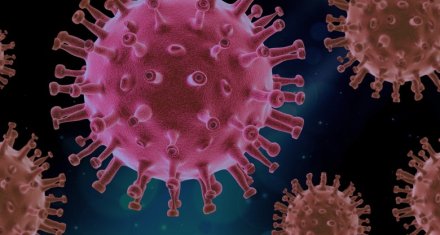 Foto på corona virus